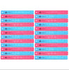 Superflex Plastic Ruler 12" - 24-Pack